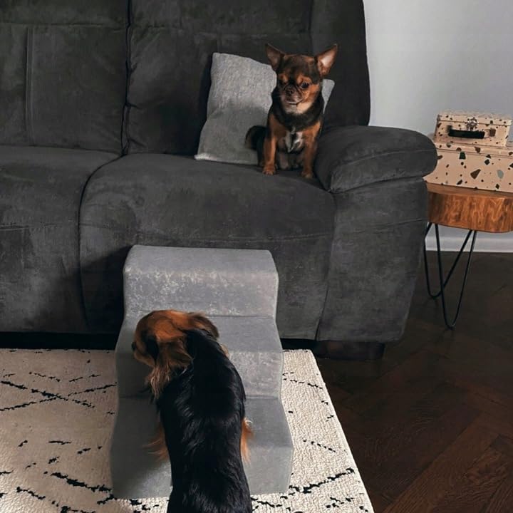 Sofatreppe für Hunde und Katzen – Hundetreppe für Bett & Sofa – 3- oder 4-stufig, rutschfest & wasch