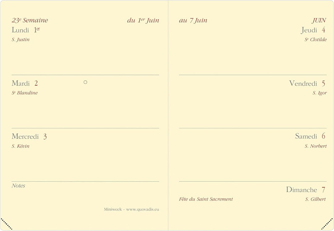 Quo Vadis - Kollektion: Impala Miniweek Terminkalender, Wochenansicht, Format: 7 x 10 cm, Farbe: Sch