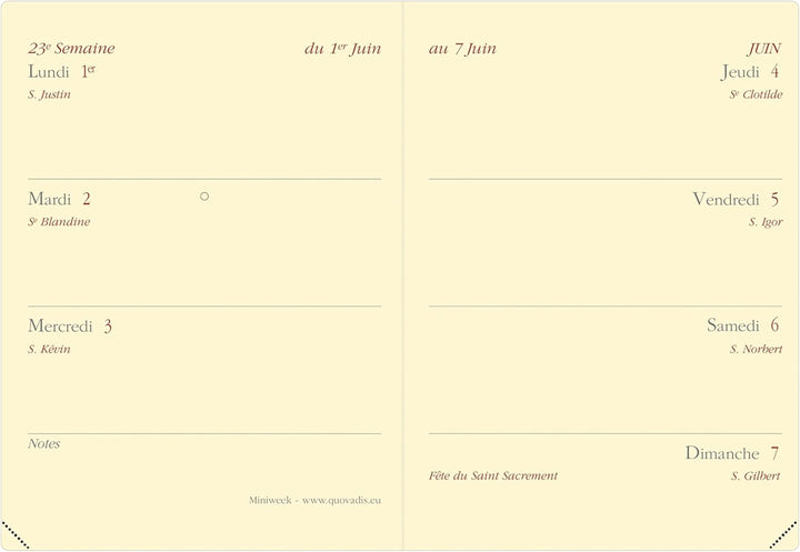 Quo Vadis - Kollektion: Impala Miniweek Terminkalender, Wochenansicht, Format: 7 x 10 cm, Farbe: Sch