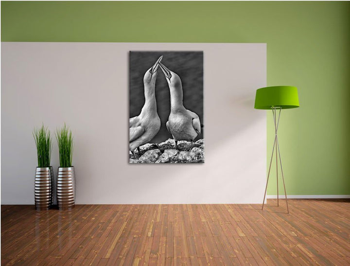 Pixxprint Monocrome, aussergewöhnliche Vögel am Meer, Format: 100x70 auf Leinwand, 100x70