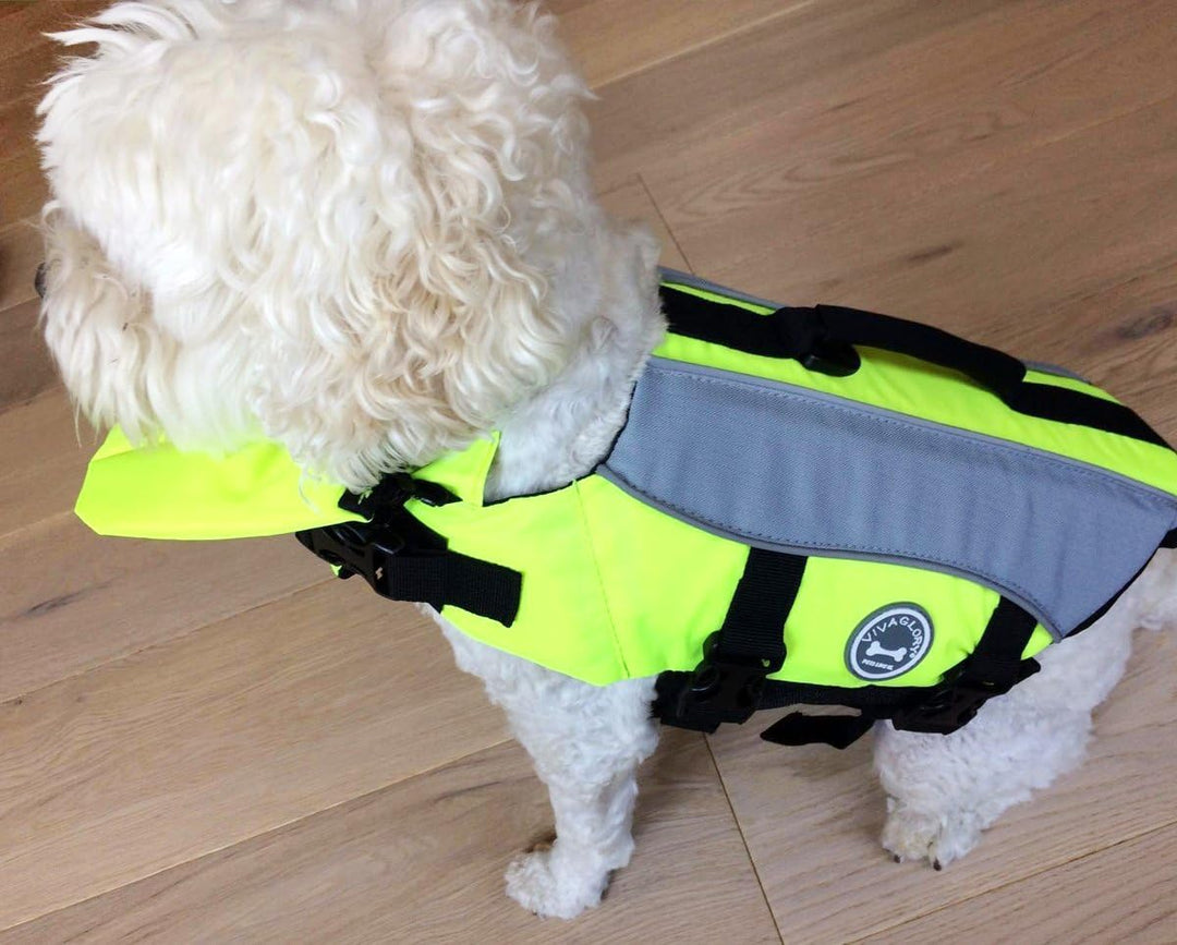 VIVAGLORY Hunde Schwimmweste mit abnehmbarem Frontauftrieb, Rettungsweste mit Reflektierenden Besätz