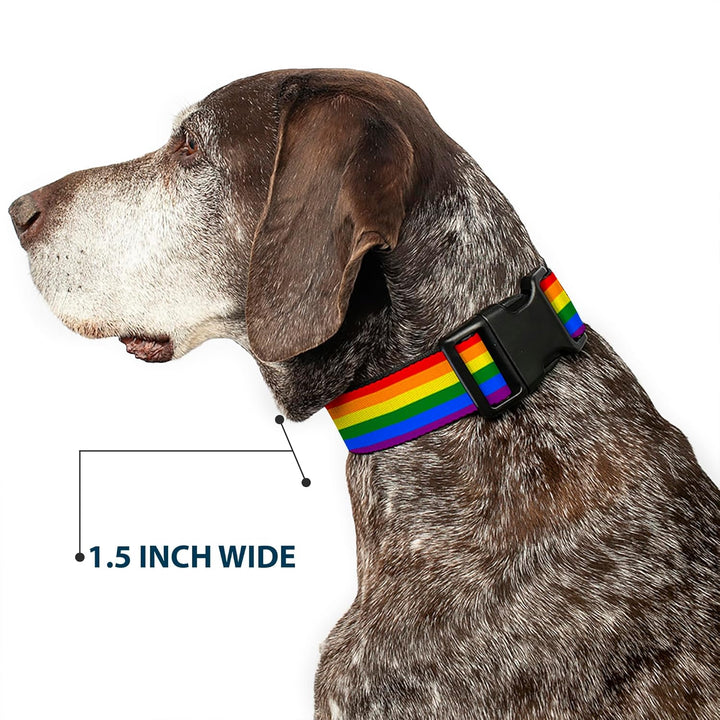 Buckle-Down PC-W30693-WM Flag Gay Pride Rainbow Plastic Clip Collar, Wide Medium/16-23 1.5" Wide - F