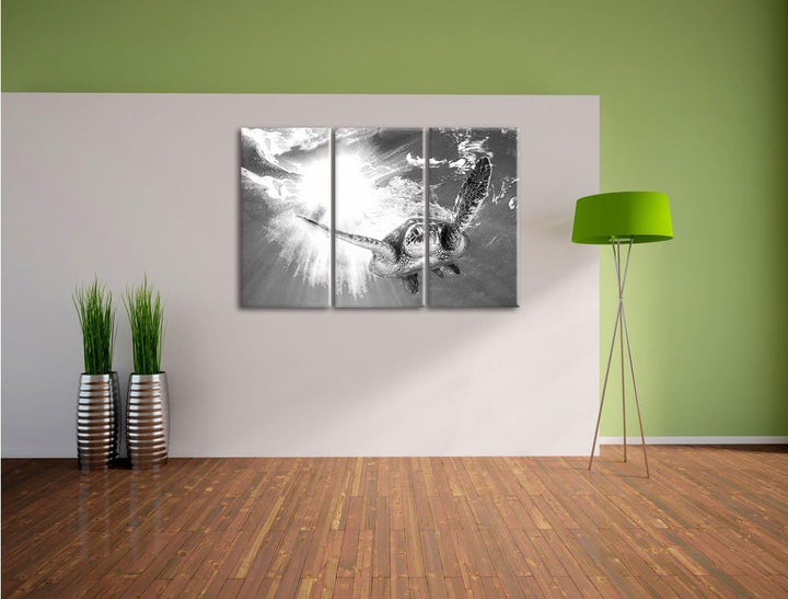 Pixxprint Grüne Meeresschildkröte Kunst B&W als Leinwandbild/Grösse: 3Teilig (120x80) / Wandbild/Kun