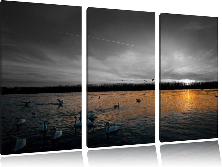 Weisse Schwäne im Sonnenuntergang schwarz/weiss 3-Teiler Leinwandbild 120x80 Bild auf Leinwand, XXL