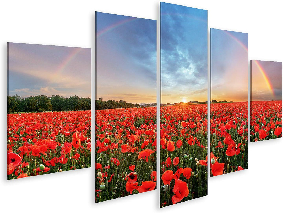 islandburner Bild auf Leinwand Regenbogen Landschaft Über Mohnfeld Bilder Wandbilder Poster 80L x 70