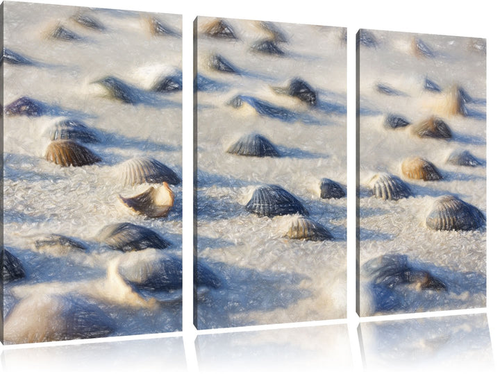 Pixxprint Muscheln im Sand als Leinwandbild/Grösse: 3 Teilig (120x80) / Wandbild/Kunstdruck/fertig b
