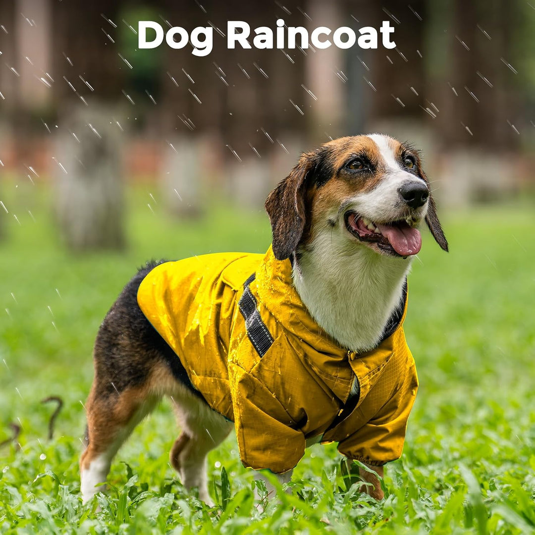 JoyDaog Premium-Hunde-Regenmantel mit Kapuze für extra kleine Hunde, Outdoor-Sport, wasserdichte Hun