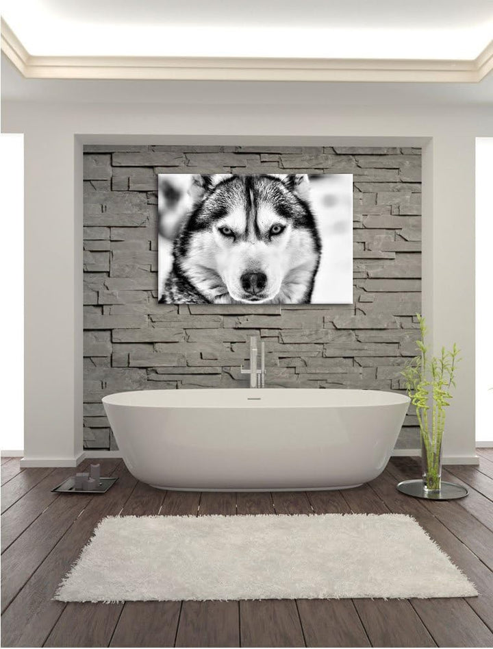 Monocrome, Husky, Format: 100x70 auf Leinwand, XXL riesige Bilder fertig gerahmt mit Keilrahmen, Kun