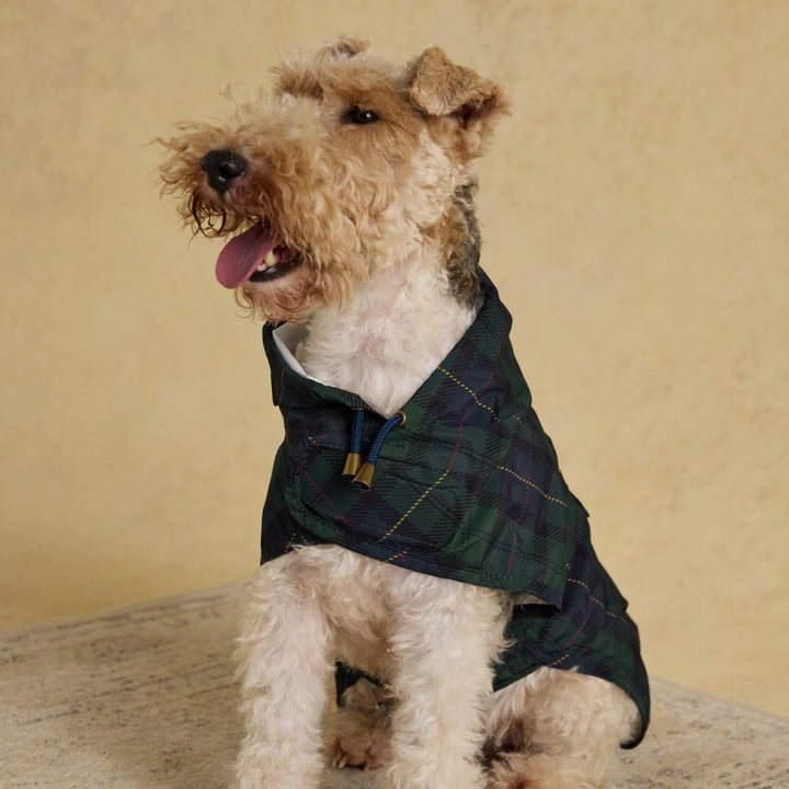 Rosewood x Joules Blackwatch Check Packaway Hundejacke, Grösse S, leicht, wasserabweisend, mit Kapuz