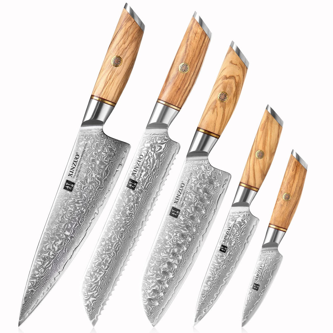XINZUO 73 Schichten Damastpulverstahl 5-Teilig Chefmesser Set,handgeschmiedet scharfe Kochmesser Set