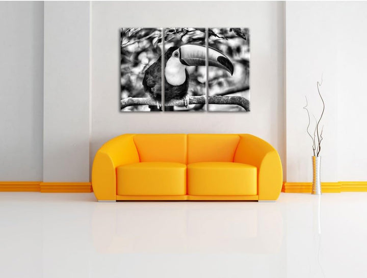 Pixxprint Exotischer Tukan als Leinwandbild | Grösse: 3 Teilig (120x80) | Wandbild| Kunstdruck | fer