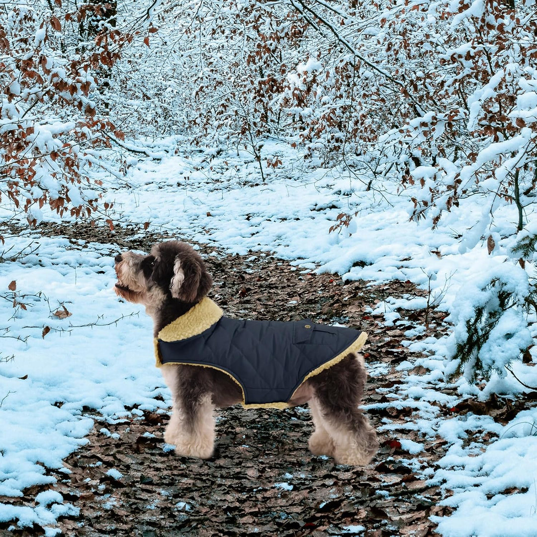 Queenmore Wintermantel Hund Wasserdicht Hundemantel Winter Kleine Hunde Small Blau, Small Blau