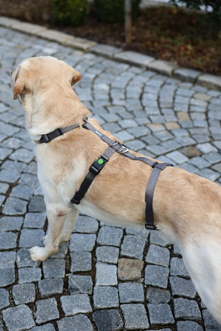 Kerbl Pet Pet 80044 Panikgeschirr Miami, Ausbruchsicher, Grau, 64-100cm