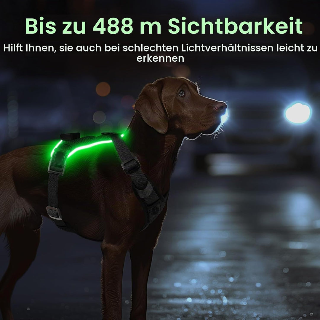 Light Up Dog Hundegeschirr Leuchtend LED Aufladbar - Leuchtgeschirr Leuchtend für Klein Mittelgrosse