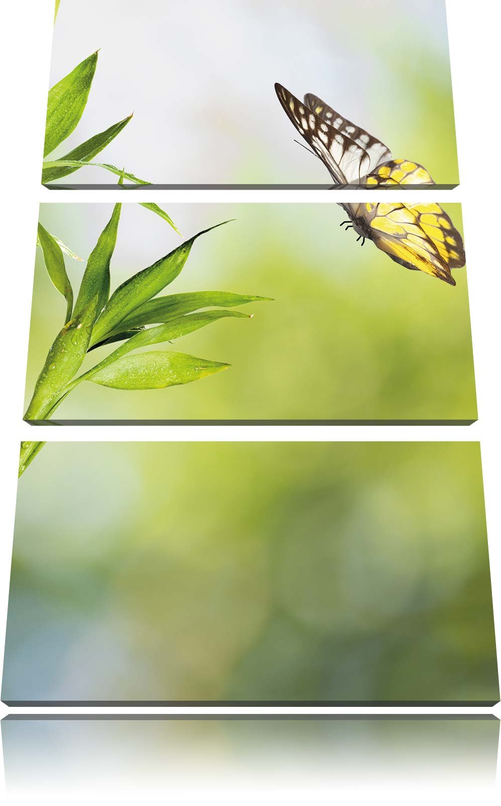Pixxprint Bambus mit Schmetterling 3-Teiler Leinwandbild 120x80 Bild auf Leinwand