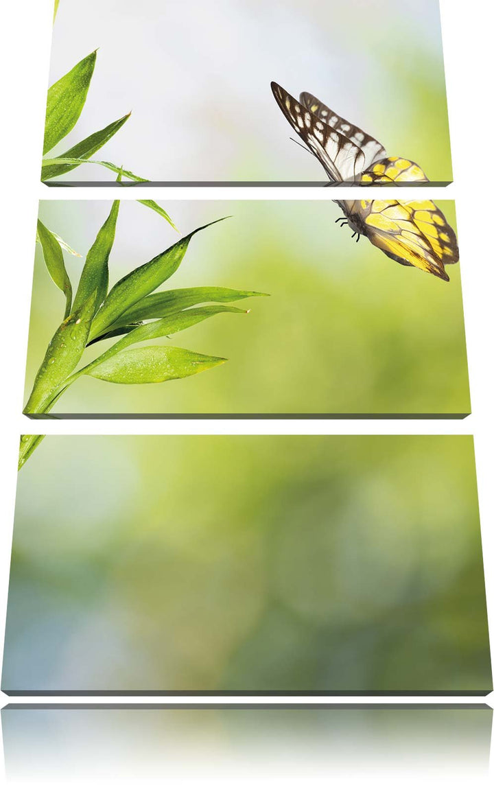 Pixxprint Bambus mit Schmetterling 3-Teiler Leinwandbild 120x80 Bild auf Leinwand