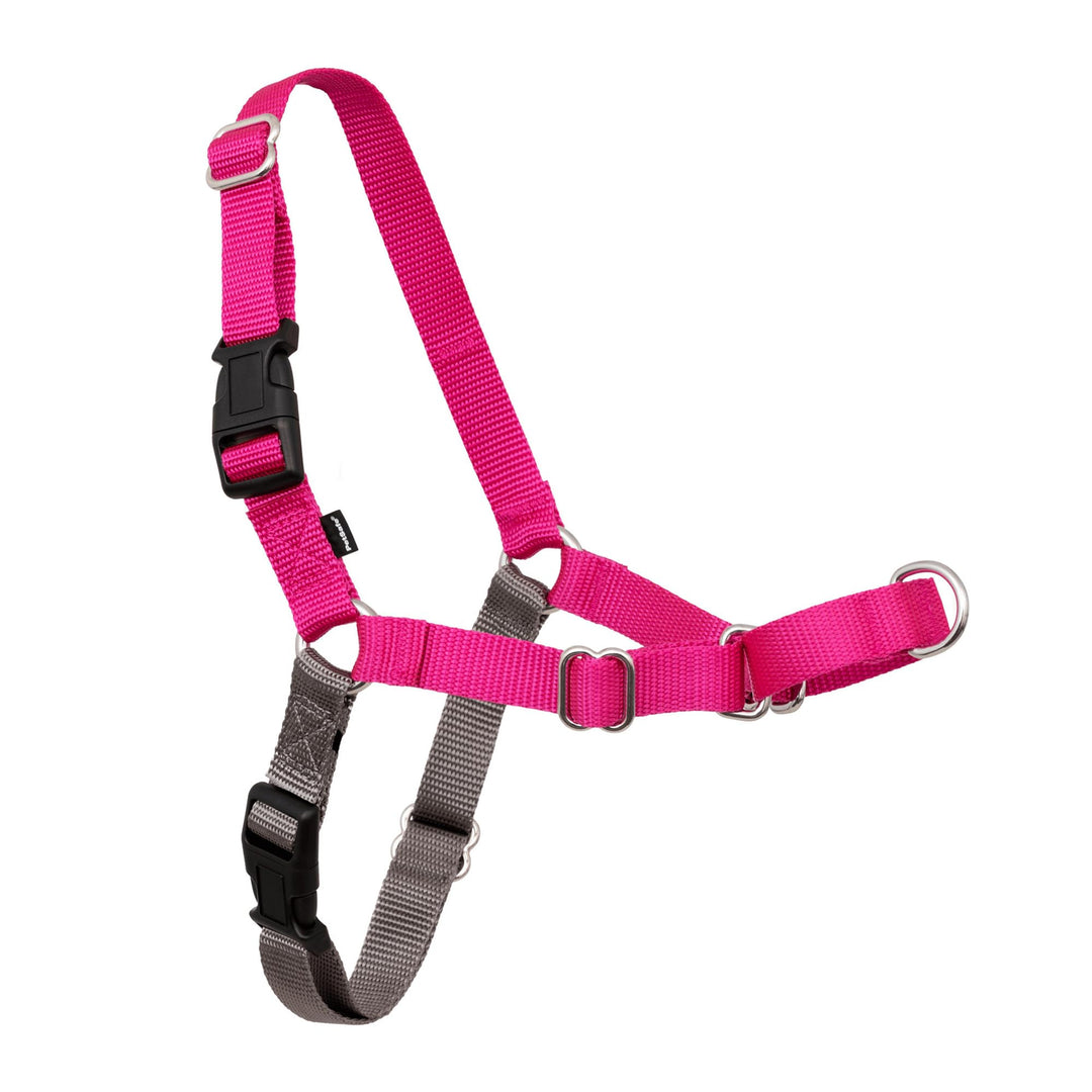 PetSafe Easy Walk Hundegeschirr. Himbeere/Grau Small/Medium, Himbeere/Grau Small/Medium