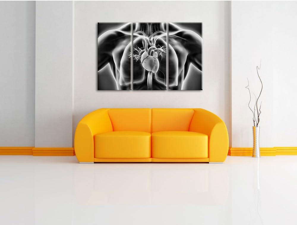 Pixxprint Herz des Menschen als Leinwandbild/Grösse: 3 Teilig (120x80) cm/Wandbild/Kunstdruck/fertig