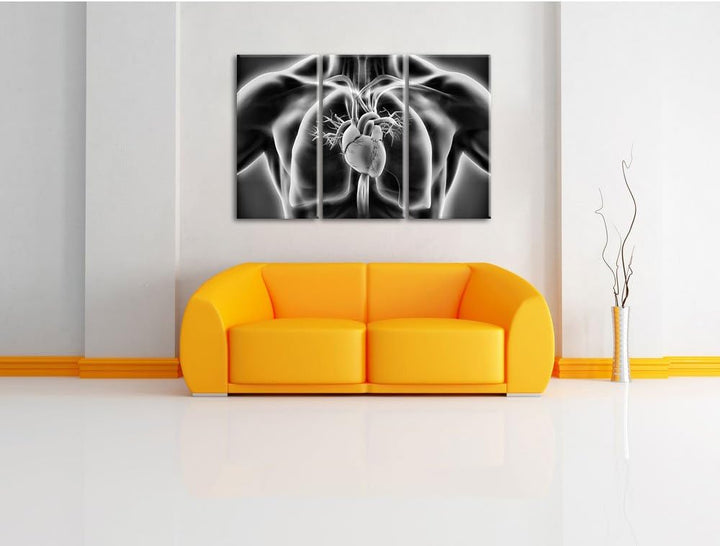 Pixxprint Herz des Menschen als Leinwandbild/Grösse: 3 Teilig (120x80) cm/Wandbild/Kunstdruck/fertig