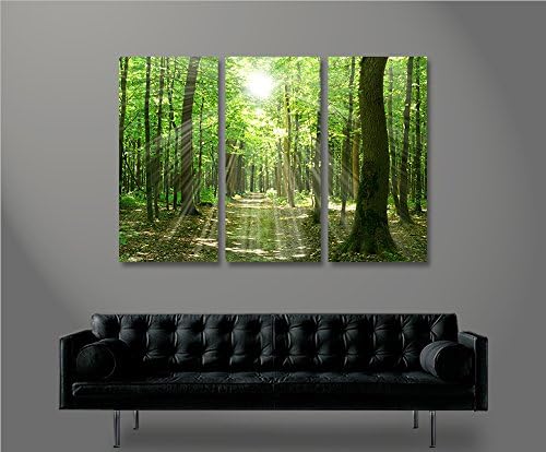 islandburner Bild Bilder auf Leinwand Sonnenstrahlen im Wald Bäume Spaziergang 3p XXL Poster Leinwan