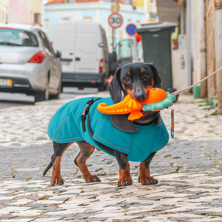 Hundemantel Dackel XL, Winddichter Wasserdichter Wintermantel Für Dackel Hunde, Hundejacke Für Gross