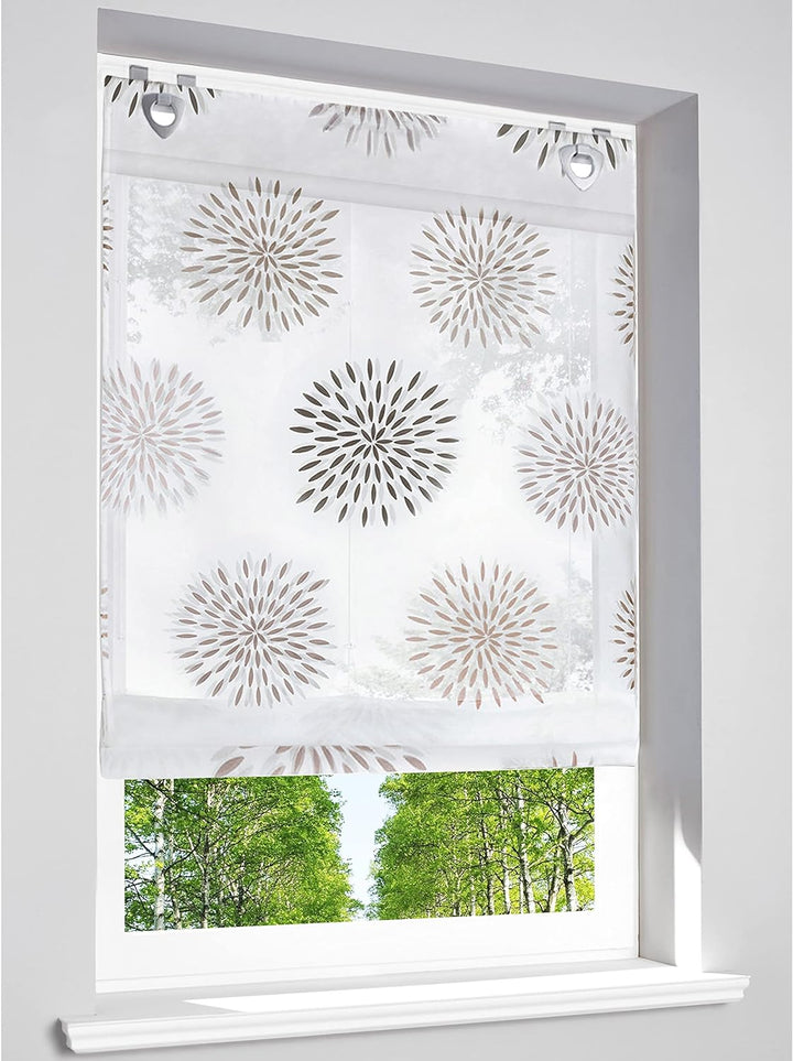 Raffrollo mit Kreis-Motiven Druck Design Rollos Voile Transparent Vorhang (BxH 100x140cm, Braun mit