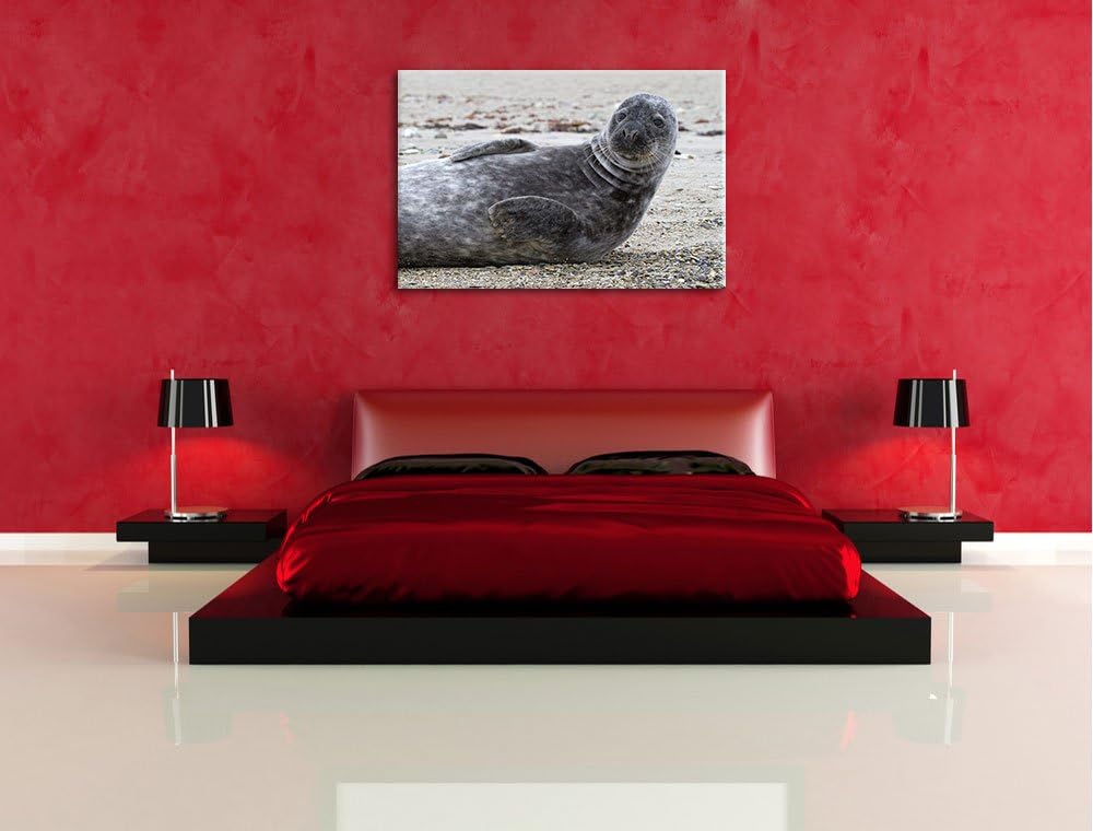 dunkle Robbe entspannt an Kiesstrand Leinwand, XXL riesige Bilder fertig gerahmt mit Keilrahmen, Kun