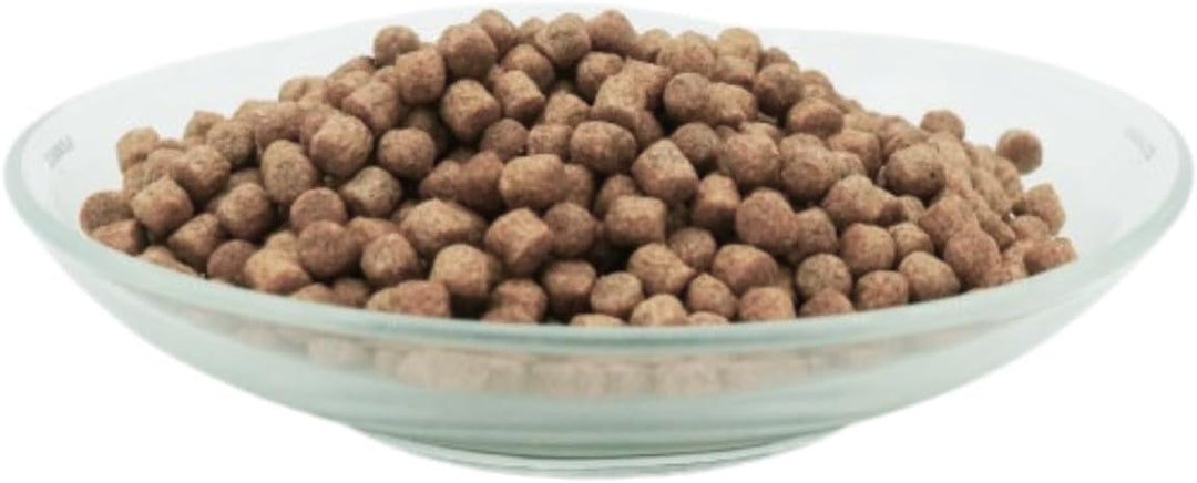 KI-JA-KO Wheatgerm spezielles Premiumfutter für Kois 10 kg / 6 mm - hoher Gehalt an Weizenkeimen, fü