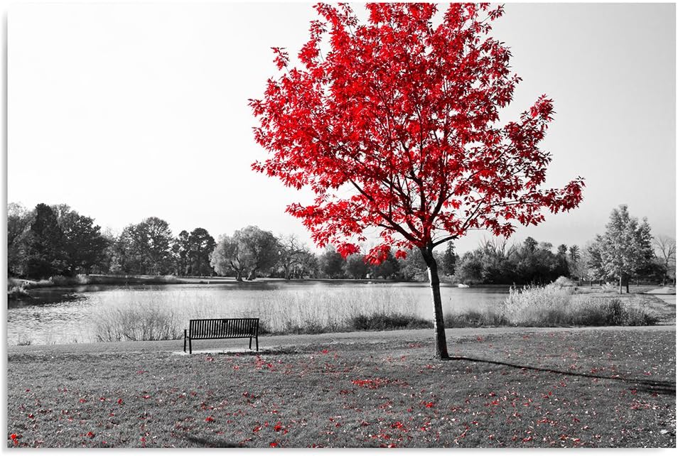 Feeby Frames, Leinwandbild, Bilder, Wand Bild, Wandbilder, Kunstdruck 50x70cm, PARK, GASSE, EINFARBI