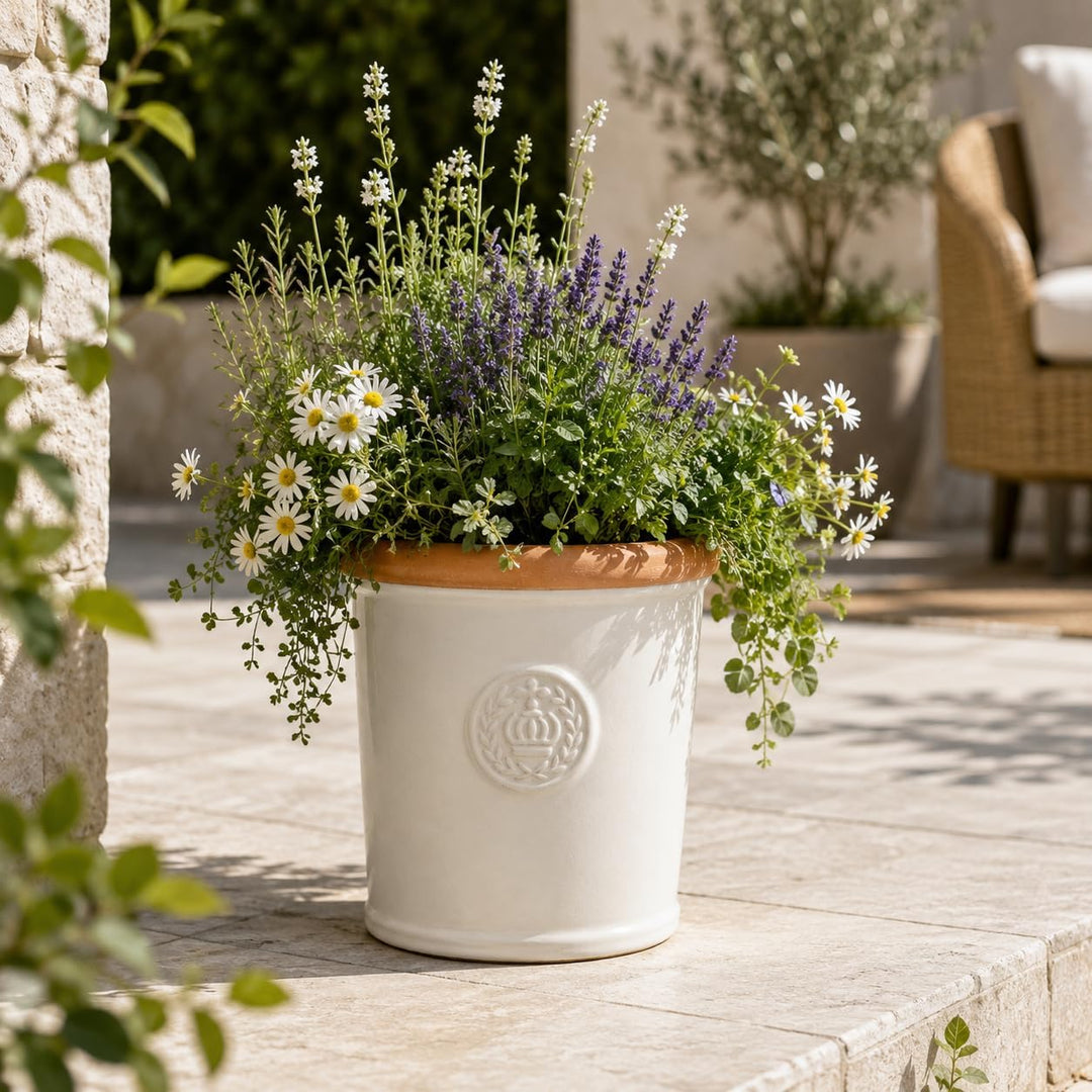 Pflanzgefäss Blumentopf Übertopf Krone Steinzeug glasiert Weiss Grau Türkis 34cm 45cm absolut Frostf