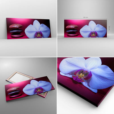 Wandbilder Dekoration Wohnzimmer Spa braune Steine weisse Orchidee Panorama Bilder auf Leinwand 120x