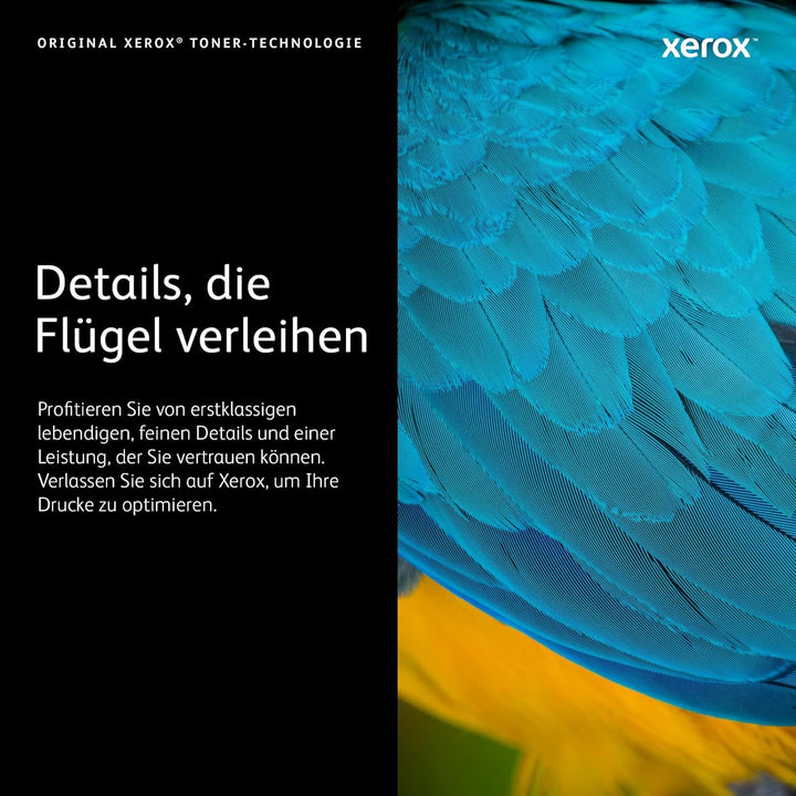 Xerox 106R03940 VersaLink B600 / B605 / B610 / B615 (10.300 Seiten) Standard-Tonerkartusche Schwarz