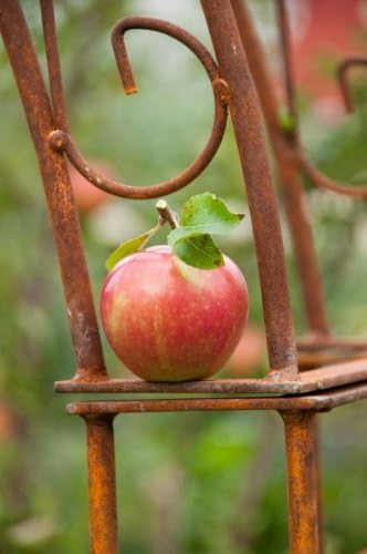 KUHEIGA Rosenbogen aus Metall 12mm Massiveisen! B: 140cm Rost - Rankbogen sehr stabil