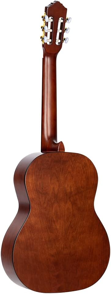 ORTEGA Family Series Pro Akustikgitarre 6 String DeLuxe - semi gloss finish (R55DLX)