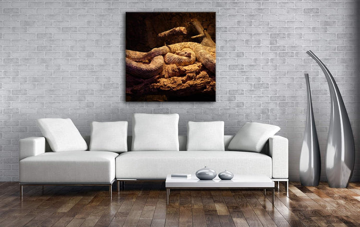 deyoli Zwei Klapperschlangen im Terrarium Format: 60x60 als Leinwandbild, Motiv fertig gerahmt auf E