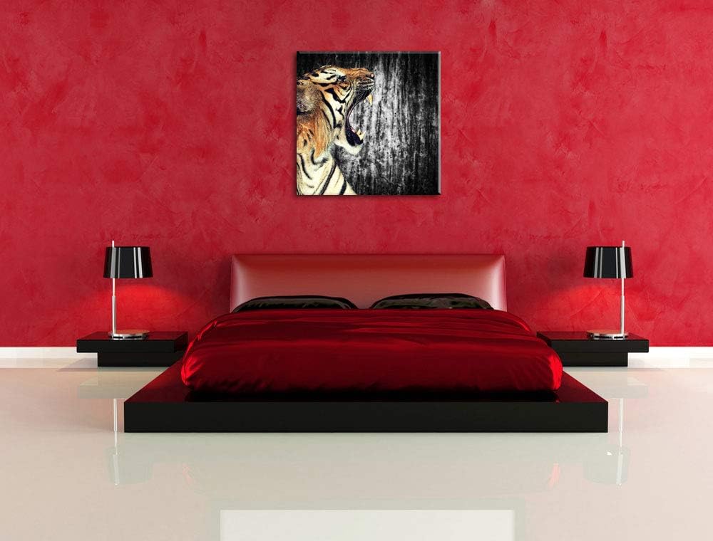 Pixxprint gähnender Tiger schwarz/weiss, Format: 70x70 auf Leinwand, 70x70