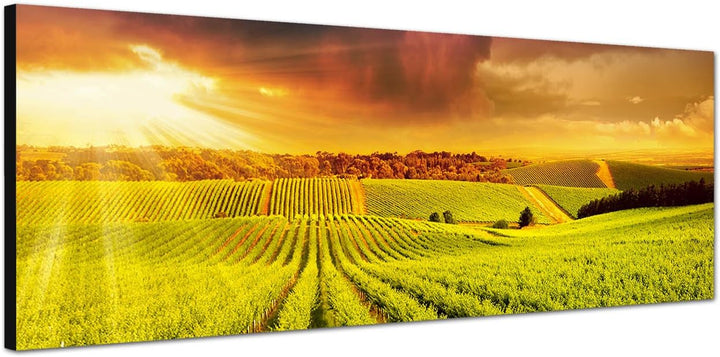 Paul Sinus Art Panoramabild auf Leinwand und Keilrahmen 150x50cm Australien Weinbaugebiet Sonnenunte