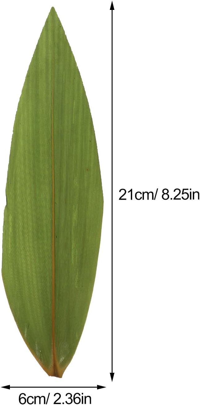 DOITOOL 100 Stück Sushi-Bambusblätter Bananenblätter Machen Zongzi-Kit Tellerdekorationen Urlaubspar