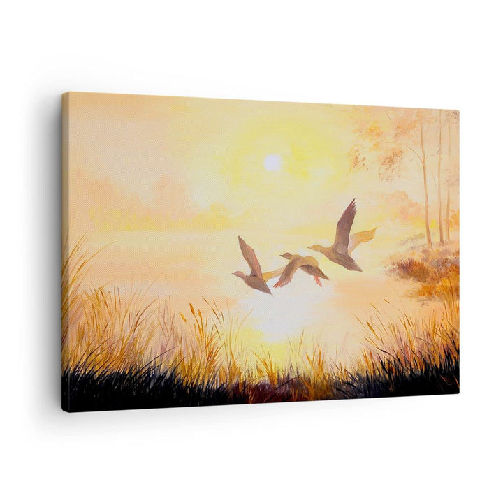Bilder auf Leinwand Vogel Natur Wasser Leinwandbild mit Rahmen 70x50cm Wandbilder Dekoration Wohnzim