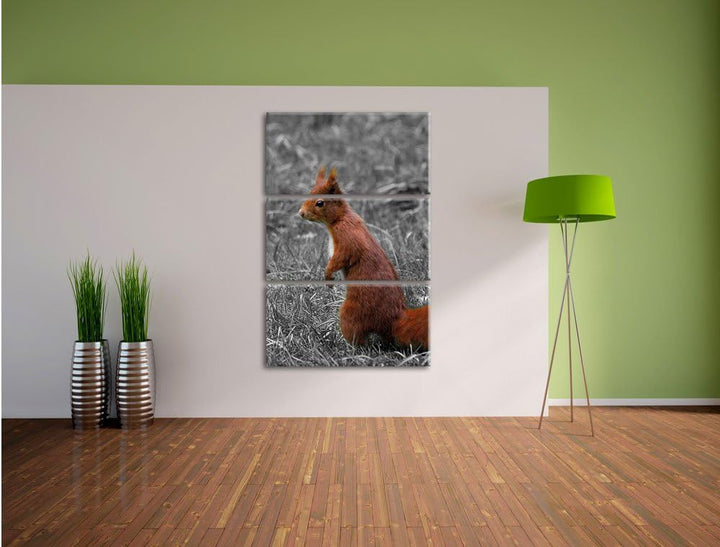 Pixxprint kleines Eichhörnchen auf Waldboden schwarz/weiss 3-Teiler Leinwandbild 120x80 Bild auf Lei