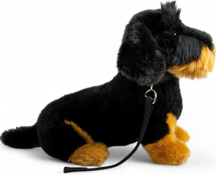 Carl Dick Dackel, Rauhaardackel mit Leine sitzend schwarz, Hund, Plüschtier, Kuscheltier ca. 30cm 35