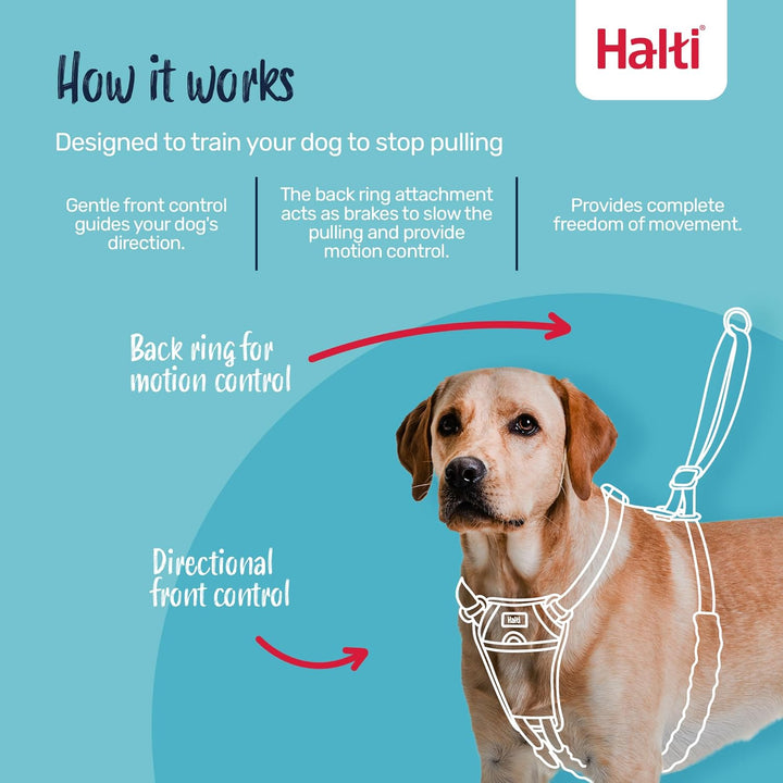Halti No Pull Geschirr und Trainingsleine Kombi-Pack, Stop Dog Pulling on Walks with Halti, Includes