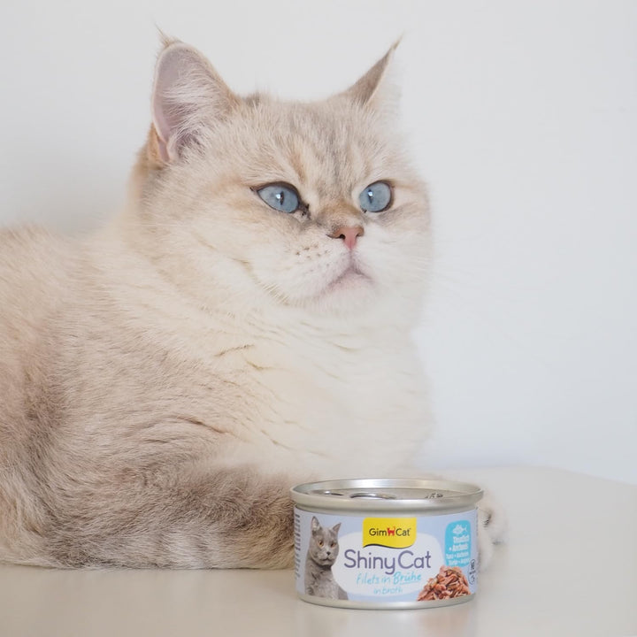 GimCat ShinyCat Filet in Brühe Thunfisch mit Anchovis - Nassfutter mit Fisch - 24 Dosen (24 x 70 g)