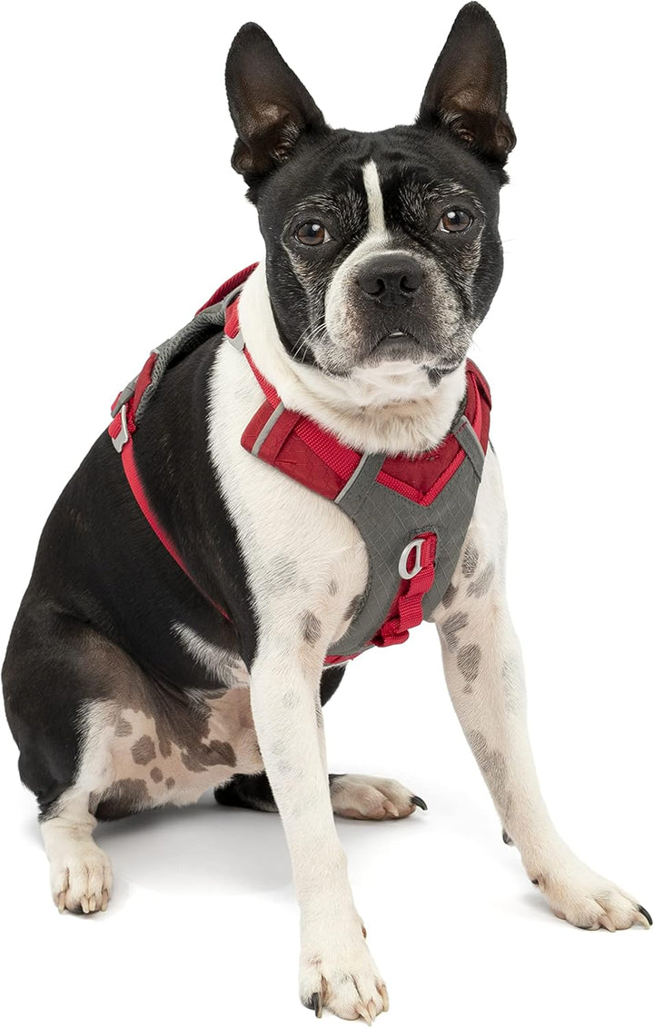 Kurgo Journey Air Hundegeschirr, Mit gepolstertem Brustteil und Rückgriff, Für Hunde von 2-5 kg, Grö