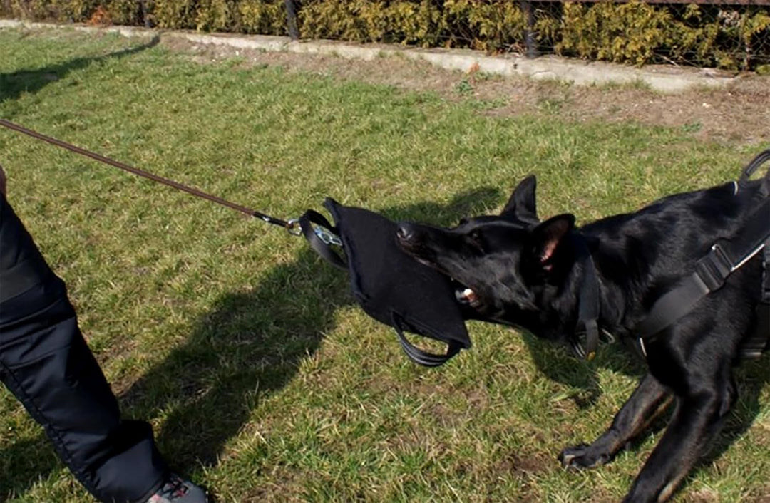 Dingo Gear Beisskissen Keilform Medium Weich aus Baumwolle-Nylon Schwarz IPO IGP K9 Training Ausbild