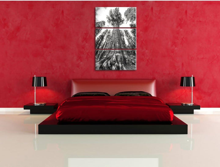 Pixxprint Mammutbaum im Regenwald als Leinwandbild - Grösse: 3-Teilig (120x80cm) - Wandbild - Kunstd