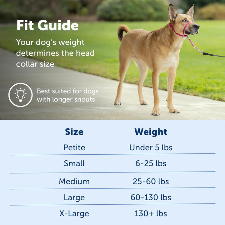 PetSafe Sanfter Führer Halsband mit Trainings-DVD apfelgrün Medium 25-60 Lb., apfelgrün Medium 25-60