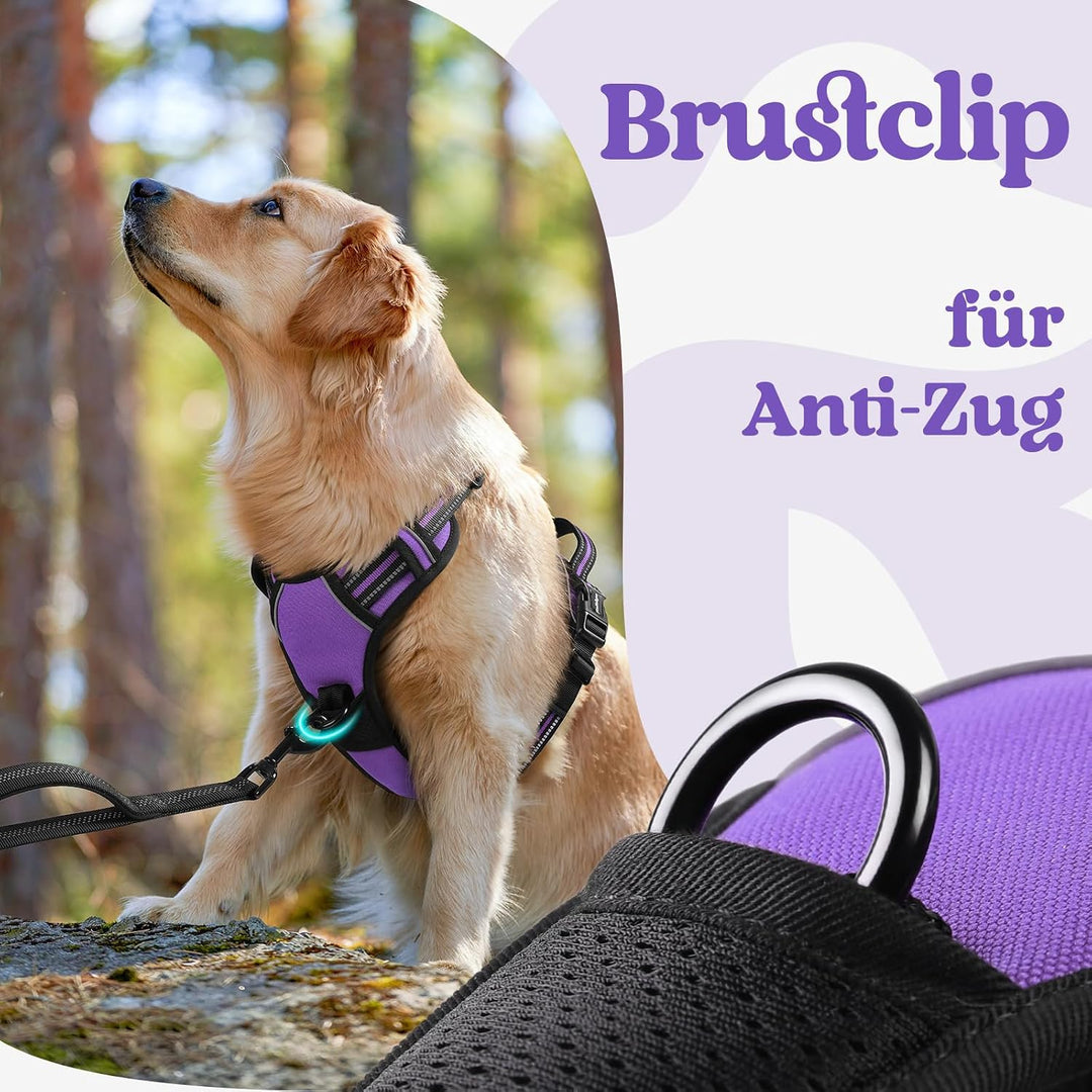 rabbitgoo Hundegeschirr Grosse Hunde Leichtes Anlegen, XL, Lila | Anti Zug, Ohne Kopfdurchzug, Halsv