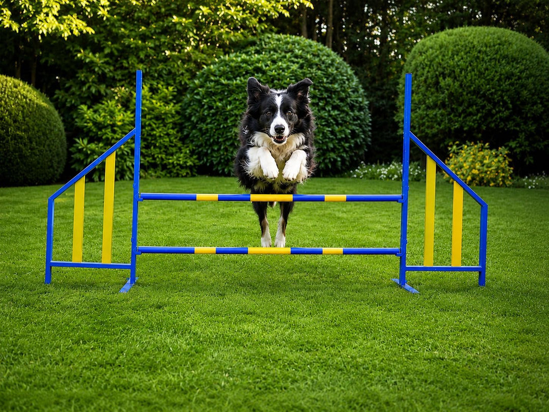 PROCYON Agility Hürde für Hunde Profi-Training-Set FCI konform Hürden Hundeport