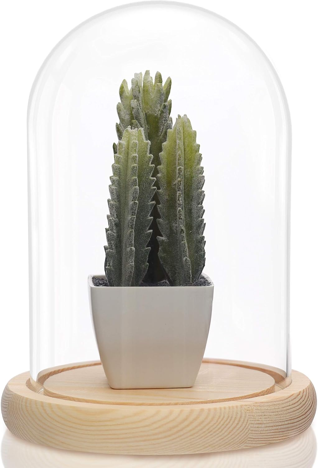 BELLE VOUS Glasglocke mit Holzboden - 20cm hohe Glaskuppel mit Holzboden - Glasglocke Gross Deko - t
